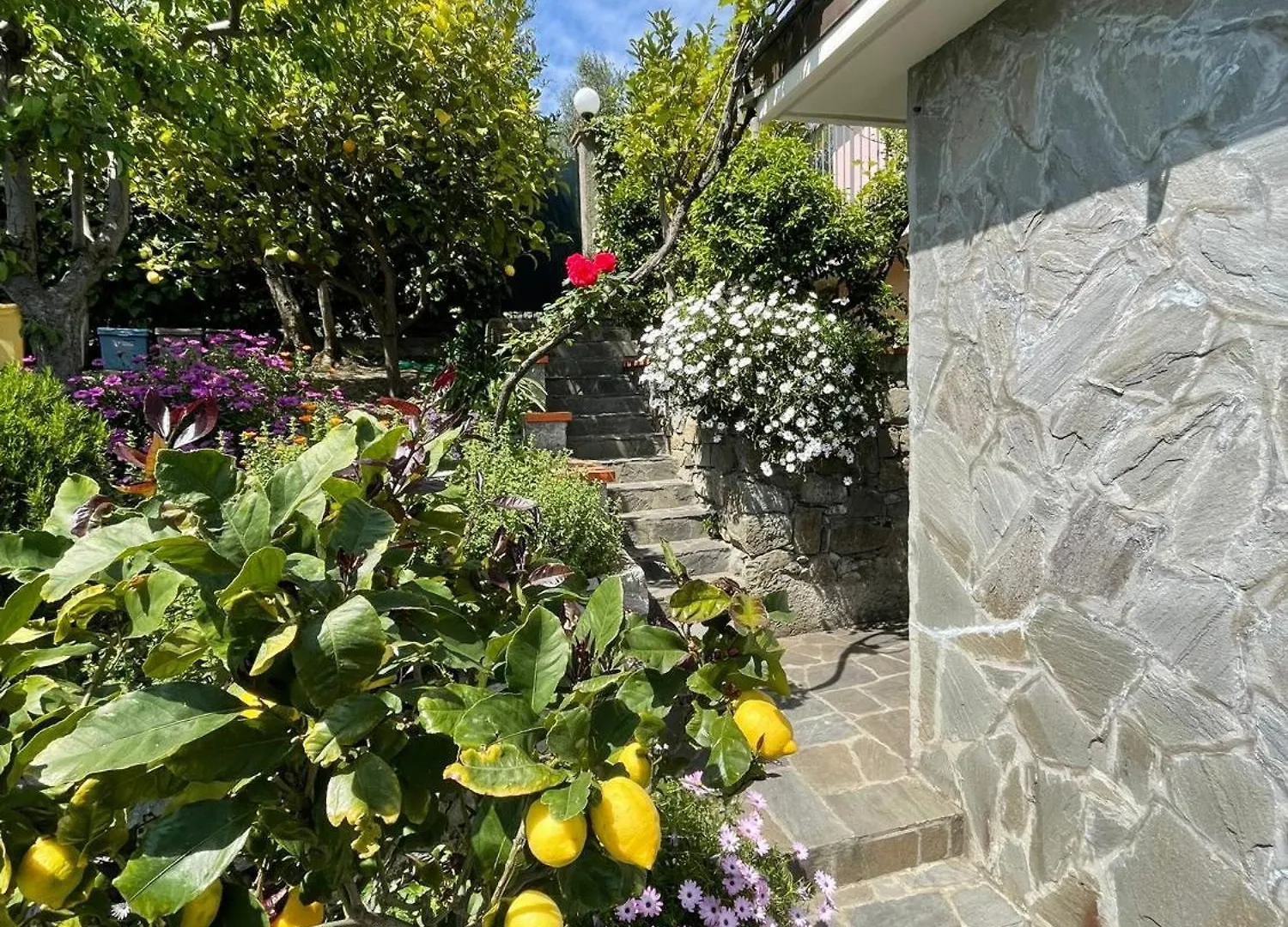 Cottage Con Vista Mozzafiato Sul Mare - Monterosso Al Mare