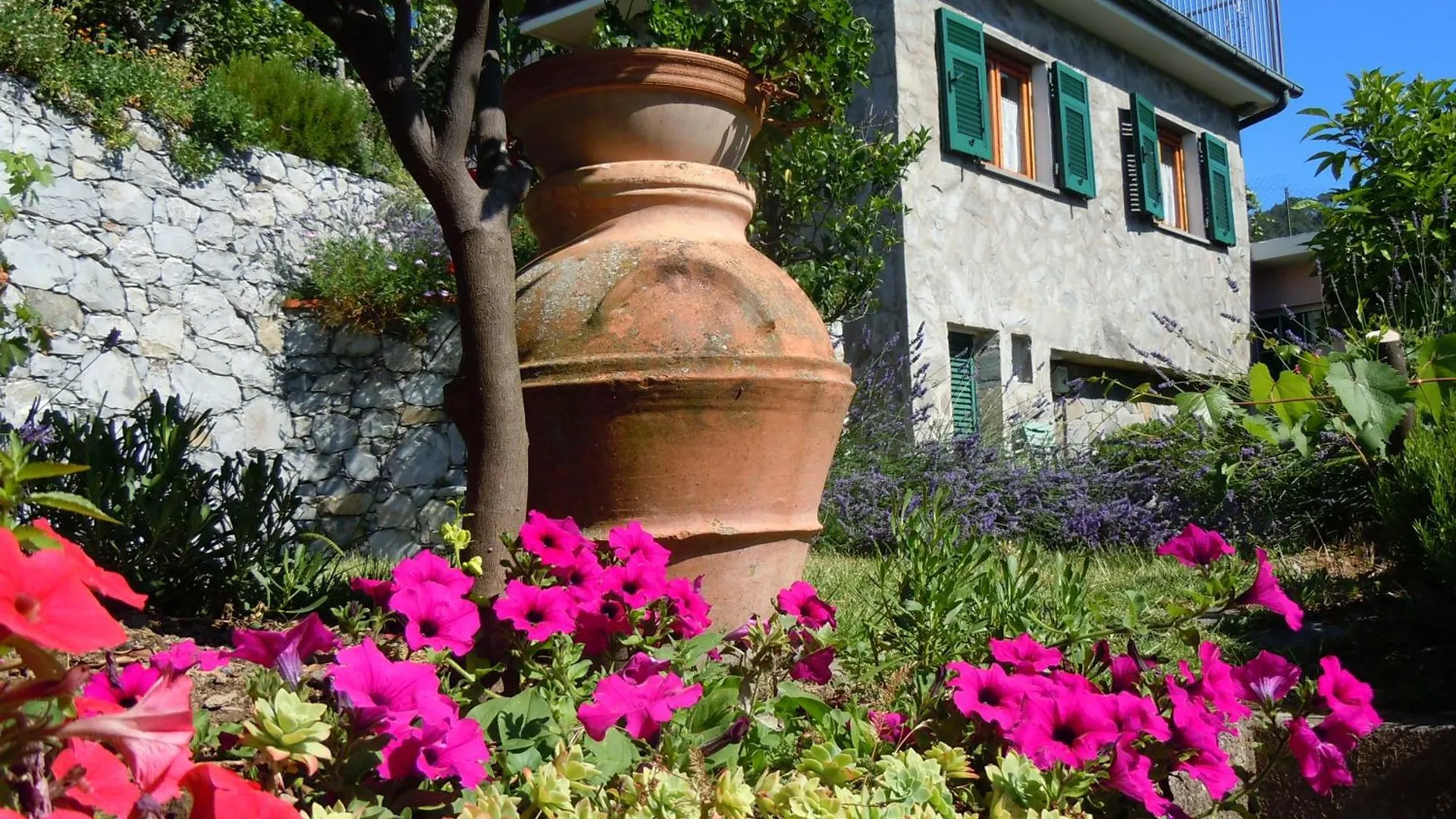 Cottage Con Vista Mozzafiato Sul Mare - Monterosso Al Mare