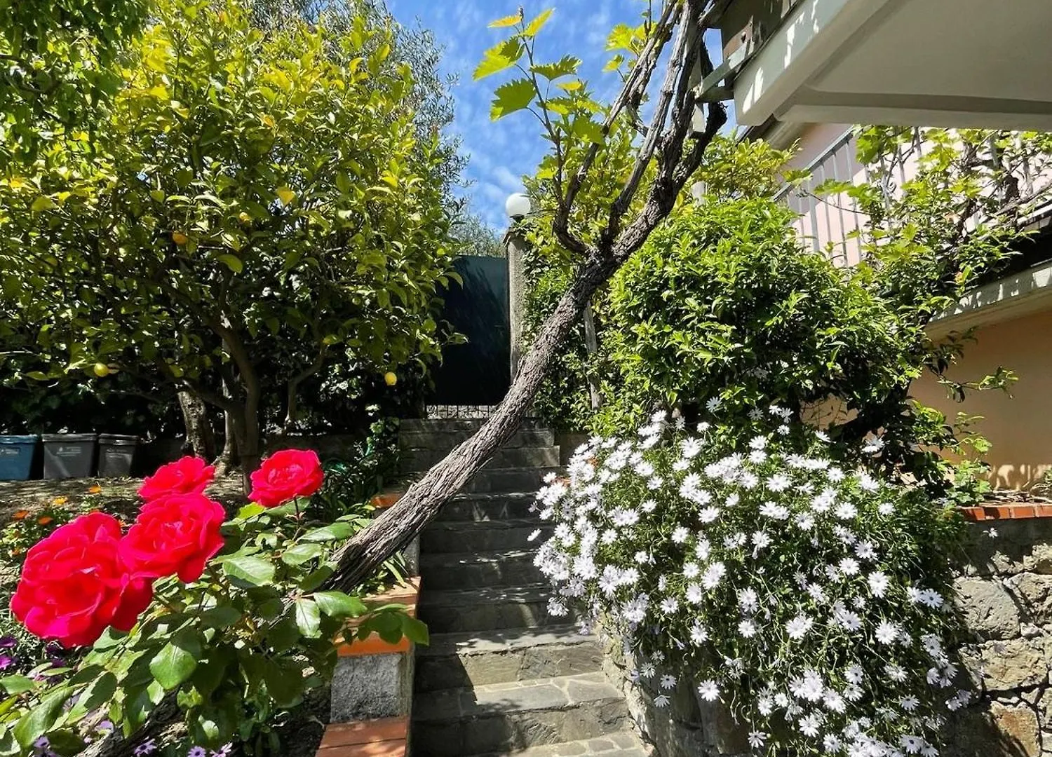 Cottage Con Vista Mozzafiato Sul Mare - Monterosso Al Mare Holiday home