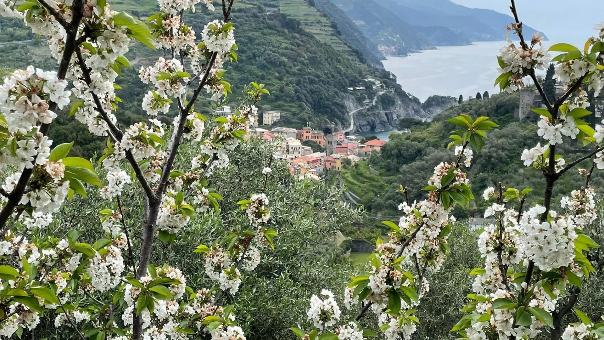 Holiday home Cottage Con Vista Mozzafiato Sul Mare - Monterosso Al Mare