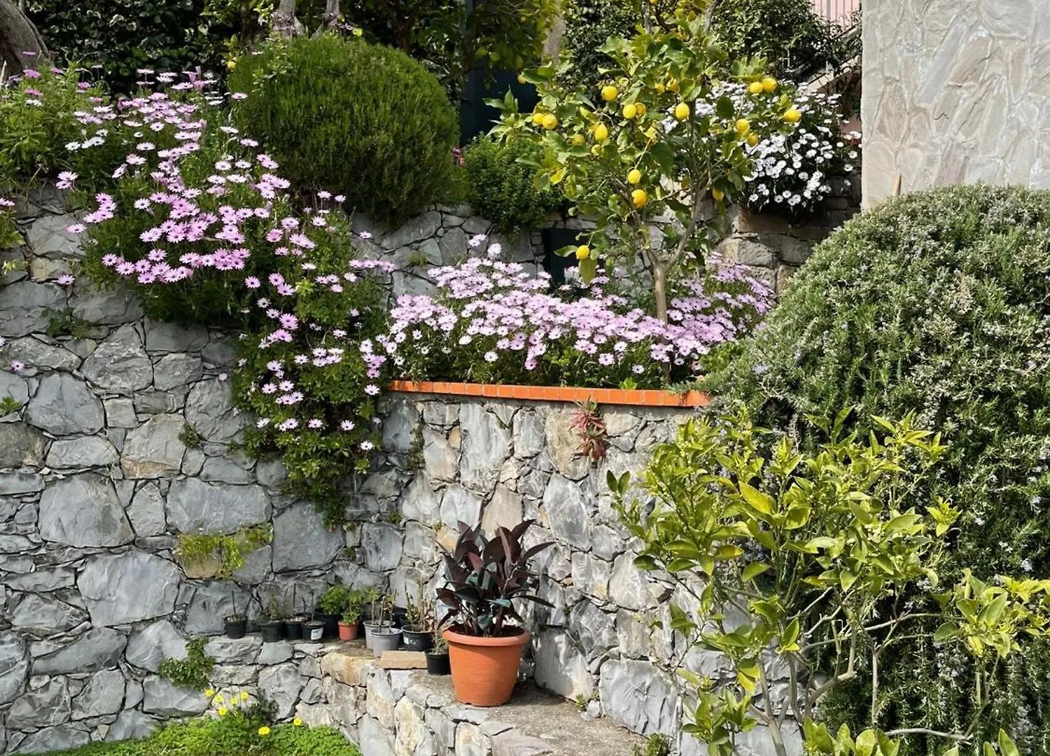 Cottage Con Vista Mozzafiato Sul Mare - Monterosso Al Mare
