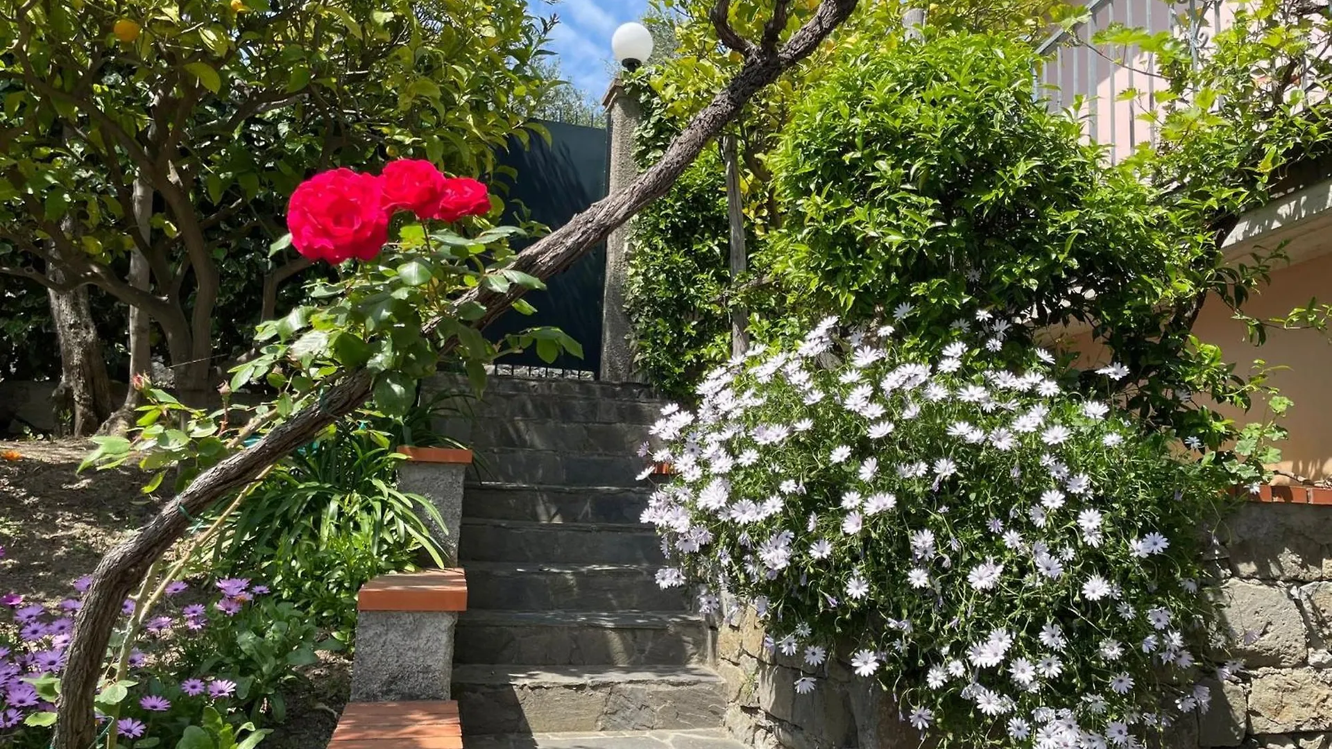 Cottage Con Vista Mozzafiato Sul Mare - Monterosso Al Mare Holiday home