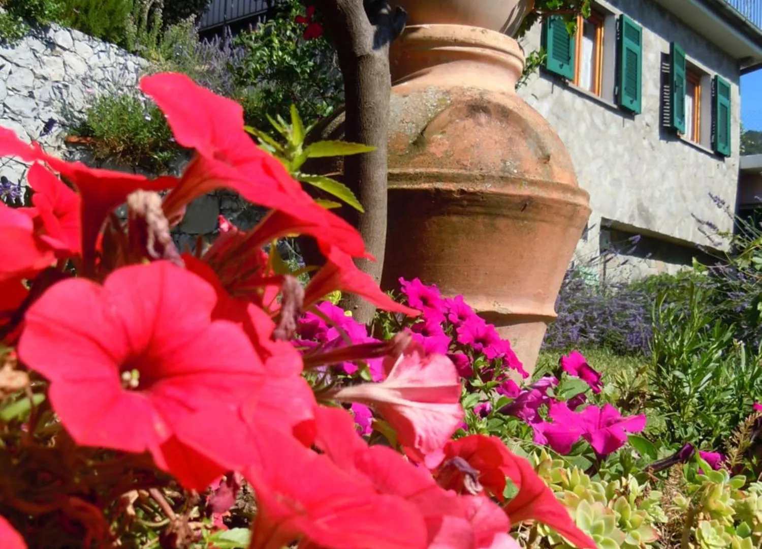 Cottage Con Vista Mozzafiato Sul Mare - Monterosso Al Mare Italy